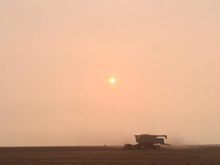 Sept. 3: This Your Saskatchewan photo was taken by Aaron Spence near Outlook.