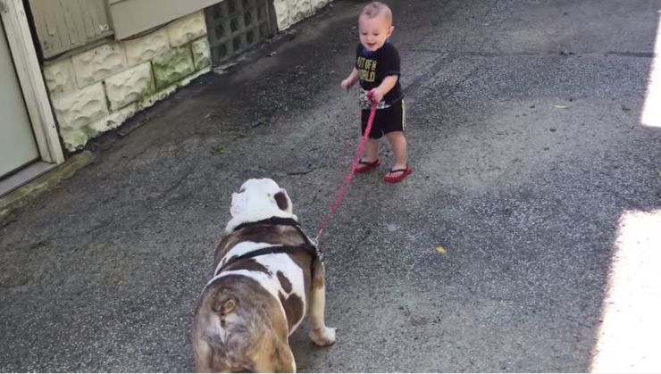 What's cuter than babies and dogs together? .