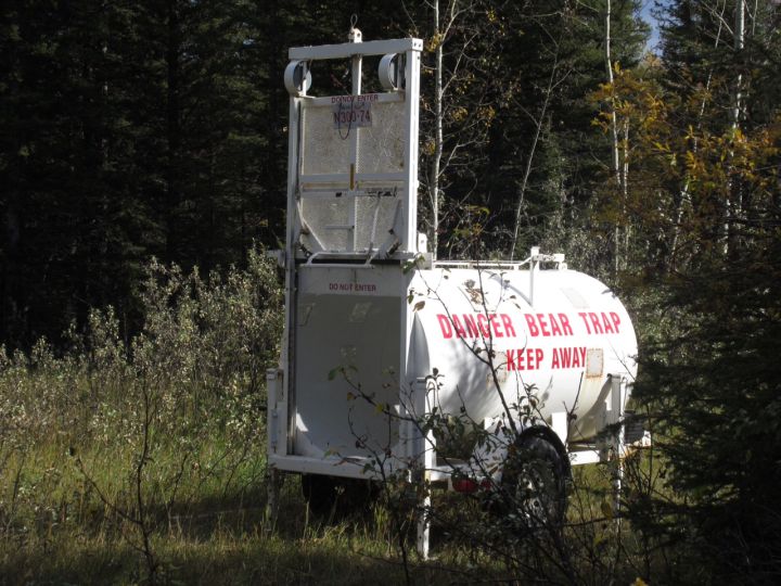 Bear trap Alberta