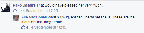 More politicians, officials criticized for questionable social media use - image