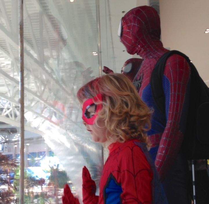 SpiderMable