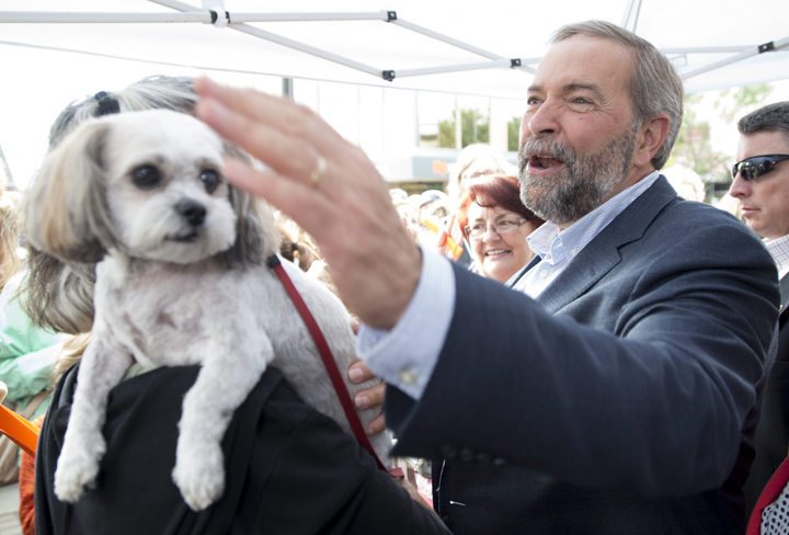 NDP Leader Tom Mulcair pets a supporter’s dog during a federal election campaign stop in Vernon, B.C. Tuesday, Sept, 1 2015. THE CANADIAN PRESS/Jonathan Hayward