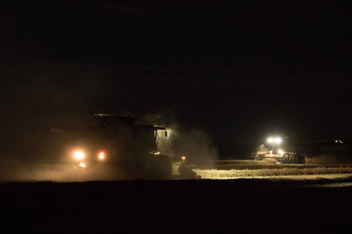 Oct. 2: Dale Boan took this Your Saskatchewan photo near Waldheim.