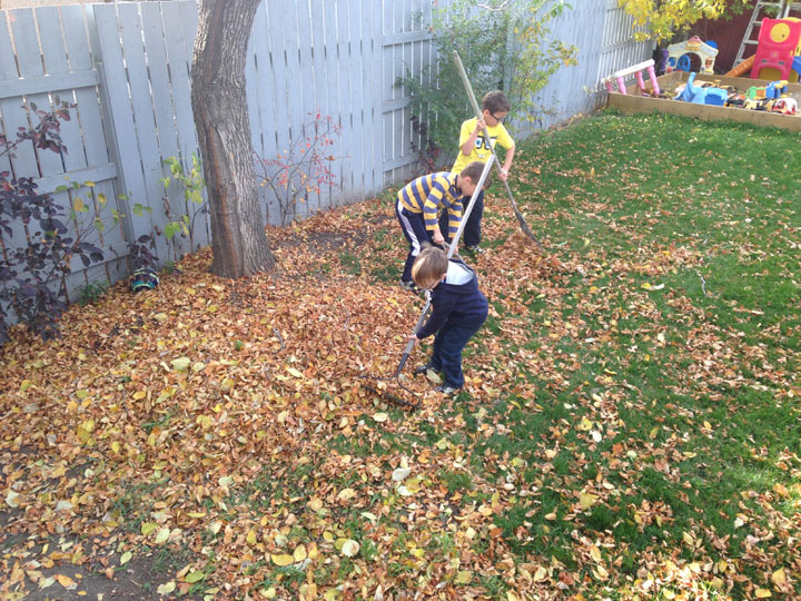 Oct. 16: This Your Saskatchewan photo of lawn raking was taken in Kindersley by Michelle Allin.