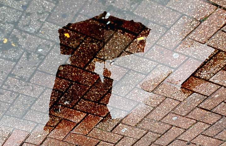 Environment Canada has issued a special weather statement for Southern Ontario due to significant rainfall on Tuesday.