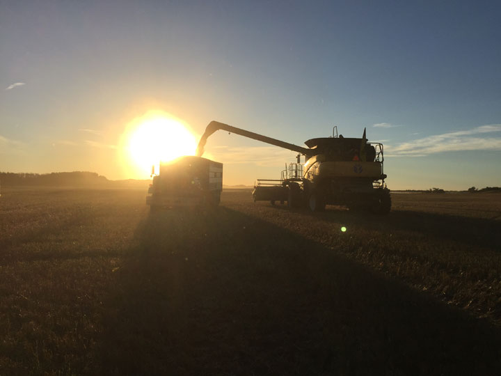 October 11: This Your Saskatchewan photo was taken by Misha Cherniak at Cando.
