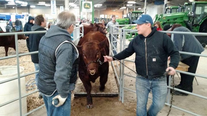 Canadian Western Agribition announced, in response to restrictions and recommendations surrounding COVID-19, its 50th show is being postponed until 2021.
