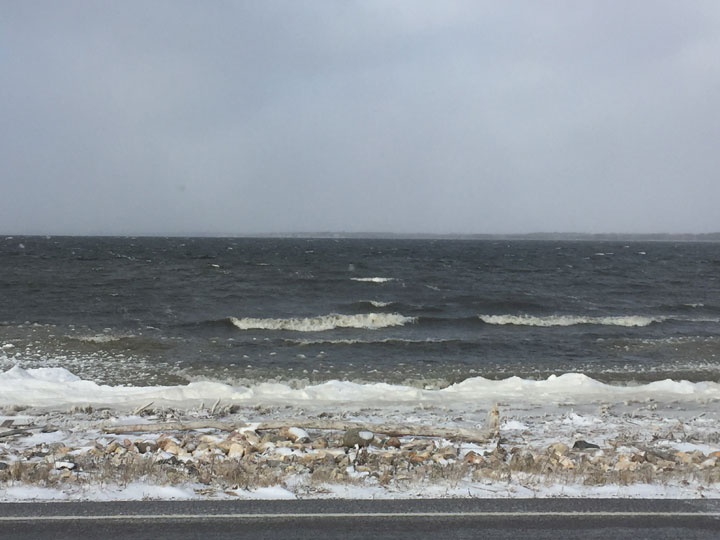 November 20: This Your Saskatchewan photo was taken by Kim Mitchell at Fishing Lake.