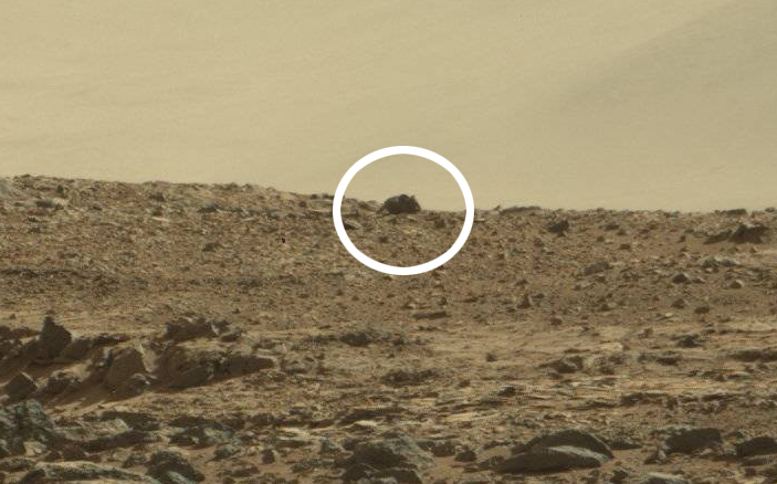 Mouse or oddly shaped rock? .