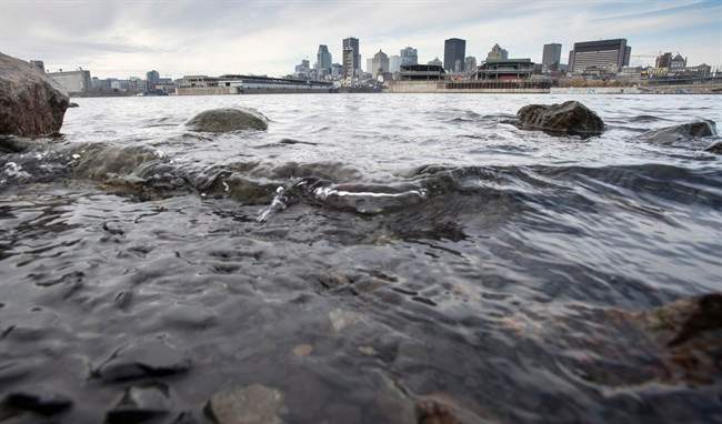 Montreal police are searching for a missing boater in the St. Lawrence River in Pointe-aux-Trembles. Monday, July 16, 2018.