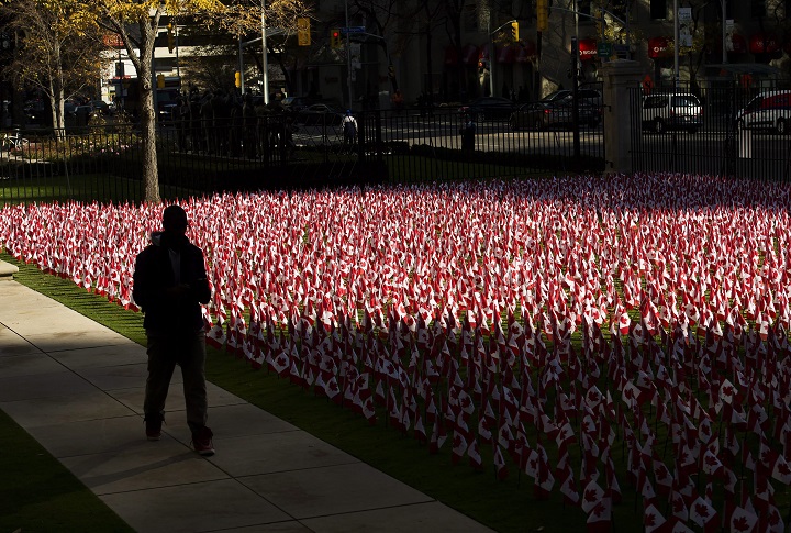 A man is silhouetted as he walks past thousands of Canadian flags placed in honour of Remembrance Day in Toronto on Monday, November 9, 2015.