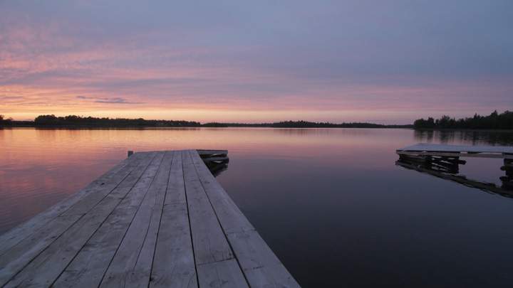 Bacteria, parasites and toxins – water quality ‘negligence’ at Shoal Lake 40 - image