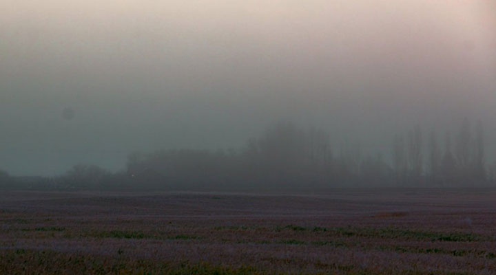 November 8: This Your Saskatchewan photo was taken by Jenny Andrew of a foggy morning in Eatonia.