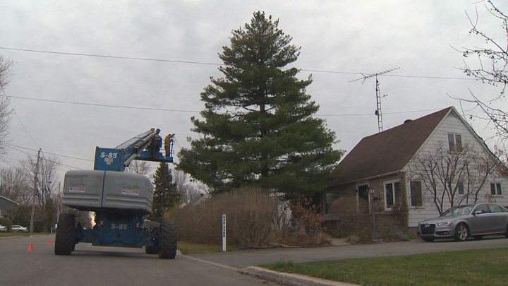 Robert Gallant needs a crane to decorate his Christmas tree. Saturday, Nov. 21, 2015.