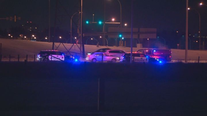 A man was arrested in west Edmonton after he allegedly assaulted an officer and then climbed a tree to escape police on Anthony Henday Drive near the 87th Avenue overpass. November 25, 2015.