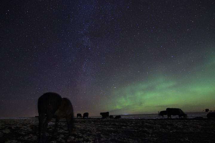 Dec. 9: This Your Saskatchewan photo was taken northwest of Rosetown by Cheryl Hare.