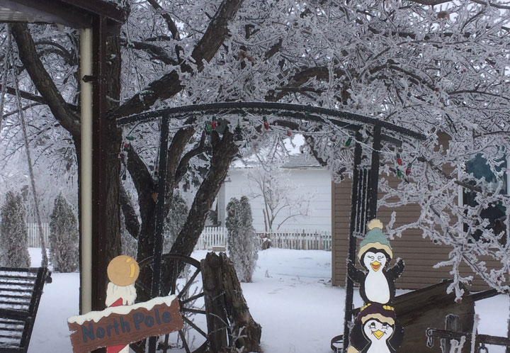 This photo of hoar frost was submitted by Terry Orban at Dinsmore, Sask.