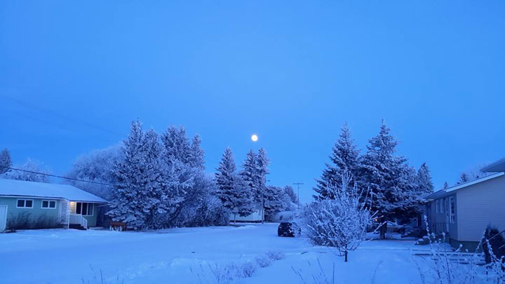 This photo of hoar frost was taken by Terry Prosper in St. Louis, Sask.