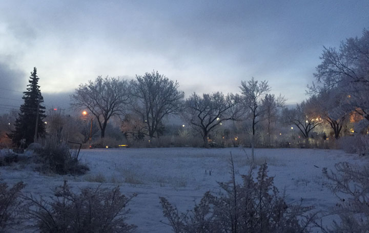 This photo of hoar frost sent in by Sherry Myers was taken in Saskatoon.