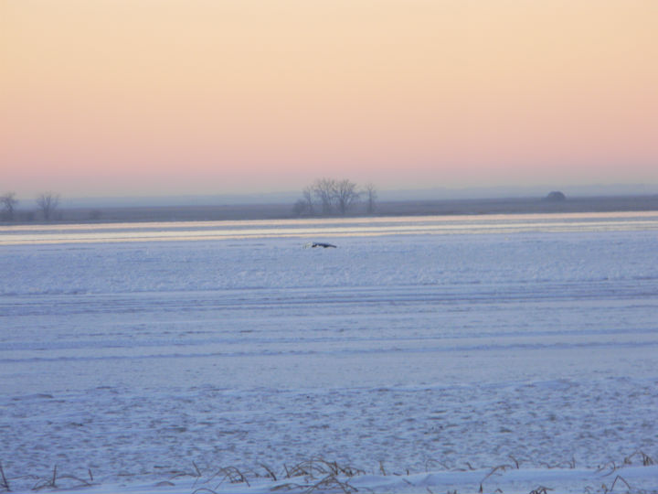 A submerged truck is visible from the Last Mountain Lake shoreline. On Dec. 1, two fishermen escaped from the vehicle after it fell through the ice when they were driving off of the lake.