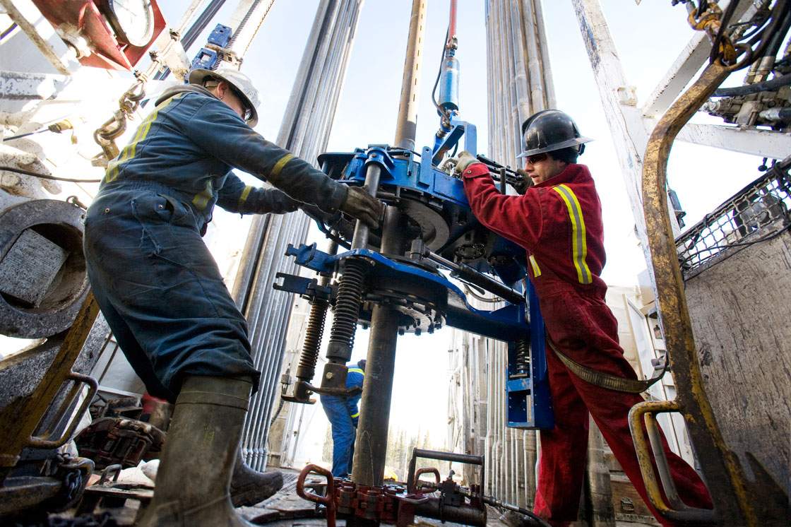 The price of oil fell to a seven-year low on Monday after OPEC said it would maintain current production levels for the next six months.