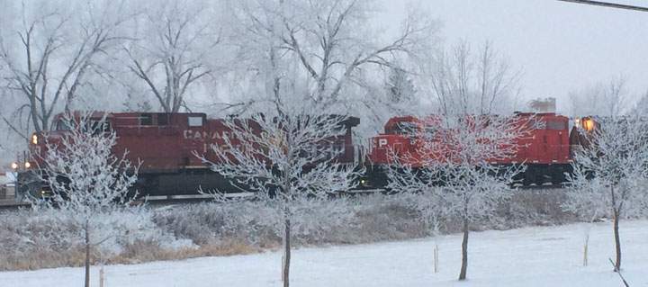 This photo of hoar frost sent in by Carla McCall was taken in Wolseley, Sask.
