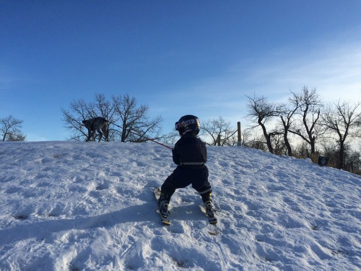 Hunter dog pulling kid
