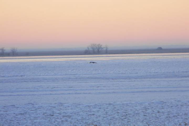 A submerged truck is visible from the Last Mountain Lake shoreline. On Dec. 1, two fishermen escaped from the vehicle after it fell through the ice when they were driving off of the lake.