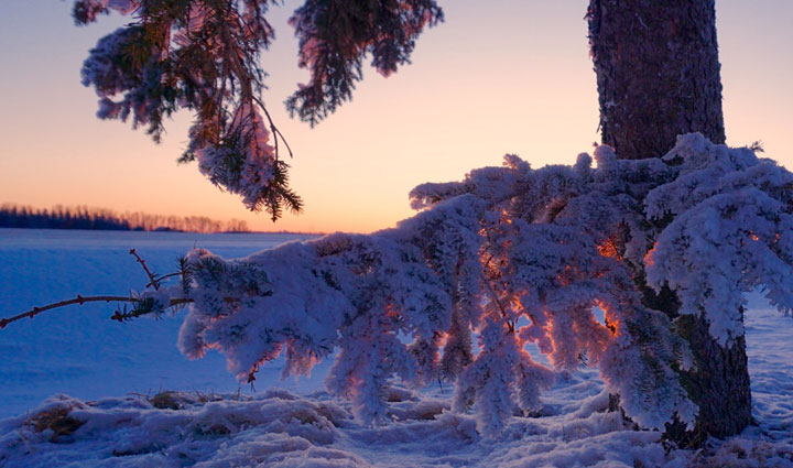 Jan. 7: This Your Saskatchewan photo was taken by Kevin Clark at Fosston.
