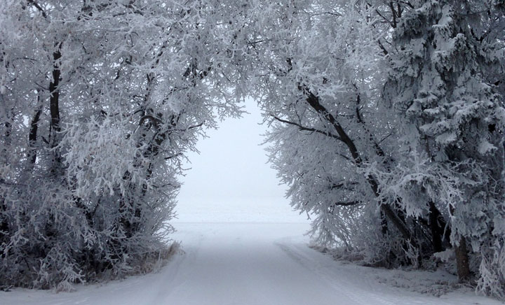 Jan. 8: This Your Saskatchewan photo was taken by Jenn Kreese near Leask.