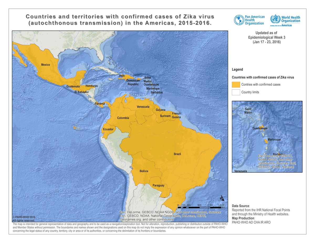WATCH: B.C. woman warns others against booking vacations while Zika virus continues to spread - image