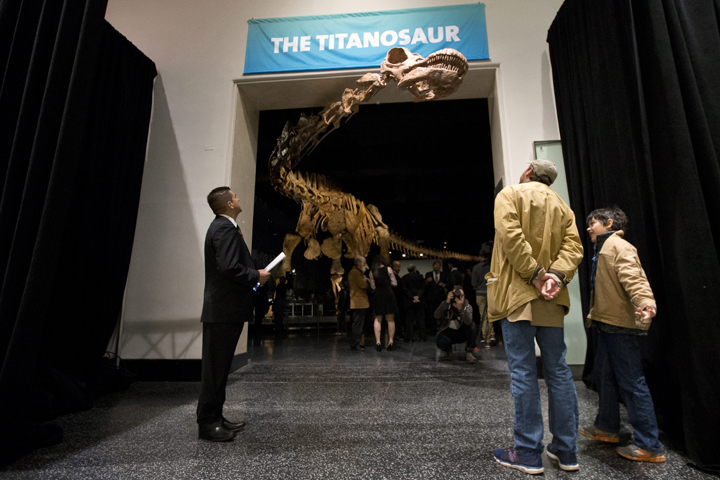 Visitors to the American Museum of Natural History examine a replica of a 122-foot-long dinosaur on display at the American Museum of Natural History in New York, Thursday, Jan. 14, 2016.