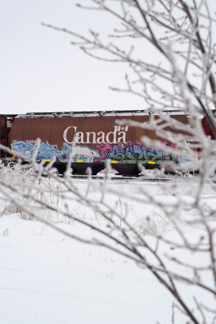 Feb. 4: Ray Whitton took this Your Saskatchewan photo in Humboldt.
