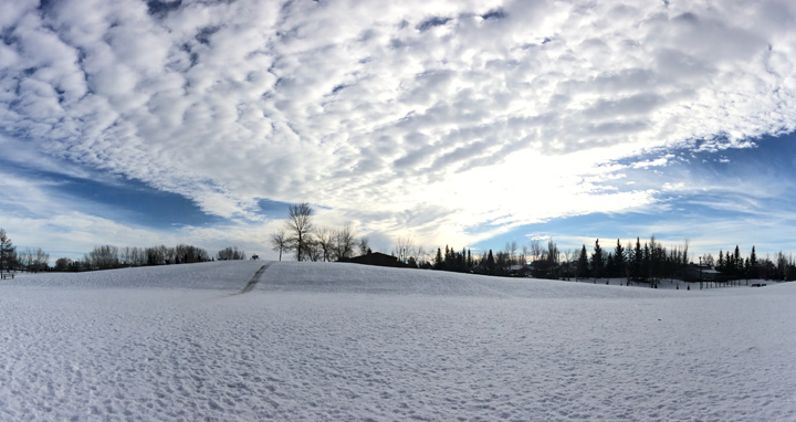Feb. 10: This Your Saskatchewan photo was taken in Saskatoon by Chelsea Roesch.