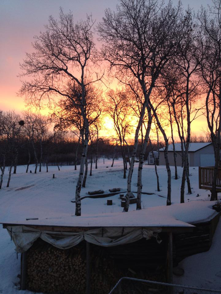 Feb. 15: Tracy Forsberg took this Your Saskatchewan photo just south of Saskatoon.