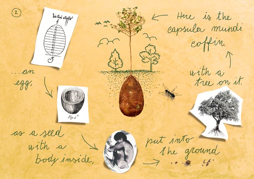 Courtesy: Capsula Mundi