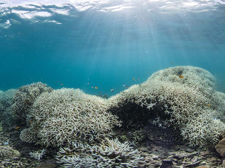 Great Barrier Reef