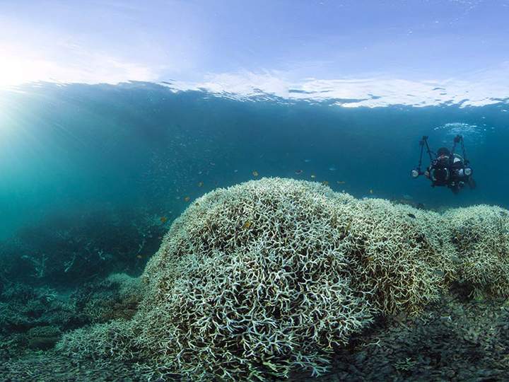 Great Barrier Reef