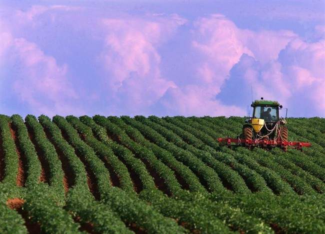 Above-normal temperatures experienced during winter could bring some good news to farmers.