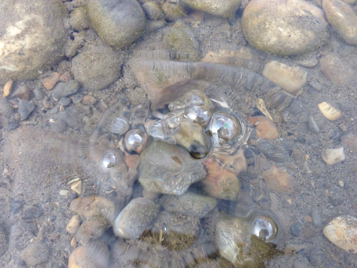 FILE photo of the Bow River in Calgary.