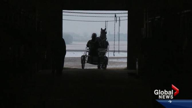 Government of Alberta announces funding plan for horse racing - image