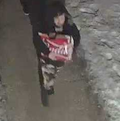 Winnipeg police release images of homicide suspects - image