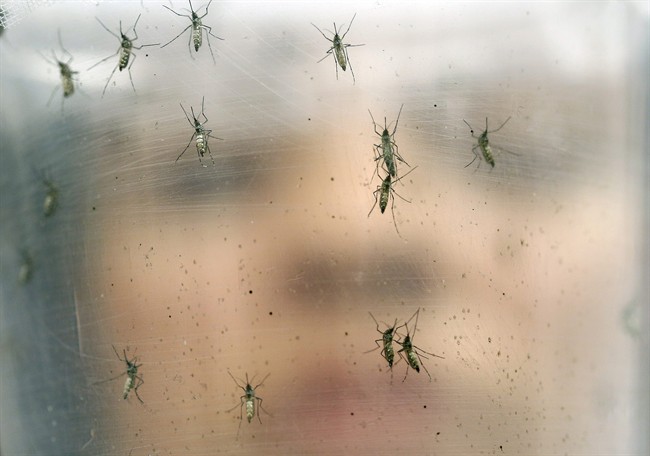 A University of Alberta research team has received a federal grant to help their research into preventing the devastating effects of the Zika virus.