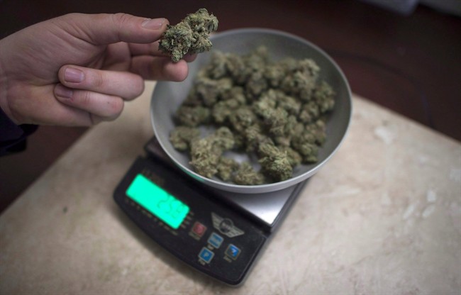Marijuana is weighed at a medical marijuana dispensary.