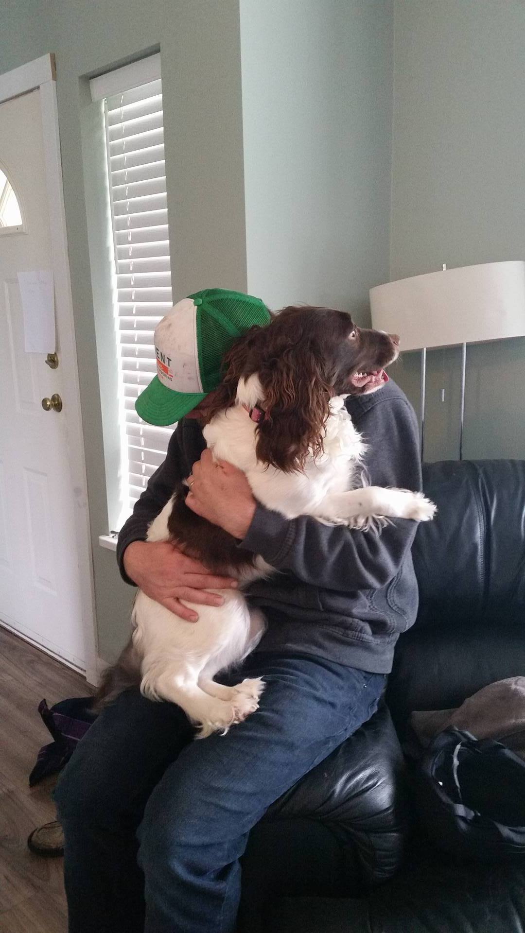 Do you hug your dog? Study suggests they aren’t feeling the love - image