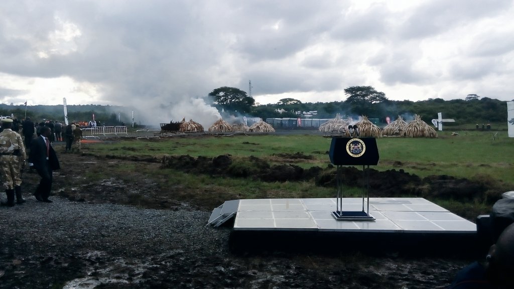 IN PHOTOS: Kenya government burns 105 tons of ivory to protest poaching - image