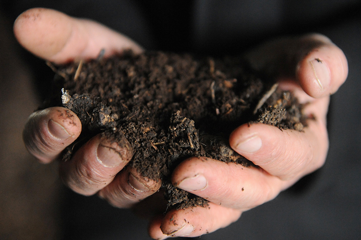 Soil is abundant with life.