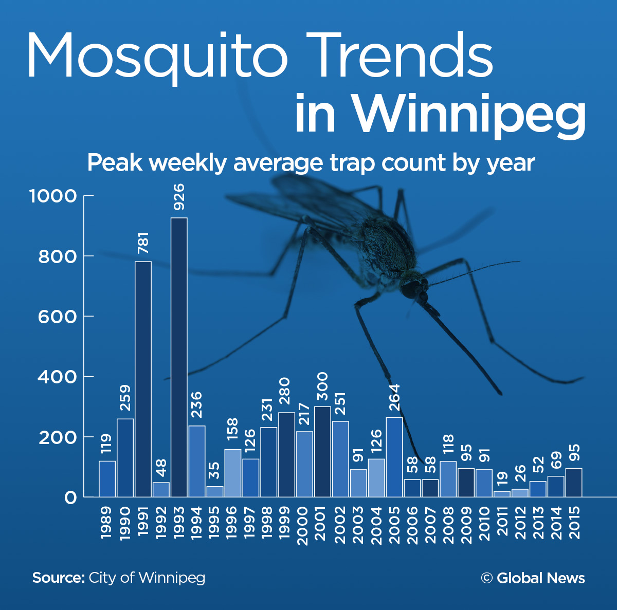 Going natural: how to ward off pesky mosquitoes without chemicals - image
