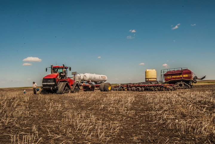 June 2: Stephanie Styles took this Your Saskatchewan photo near Govan.