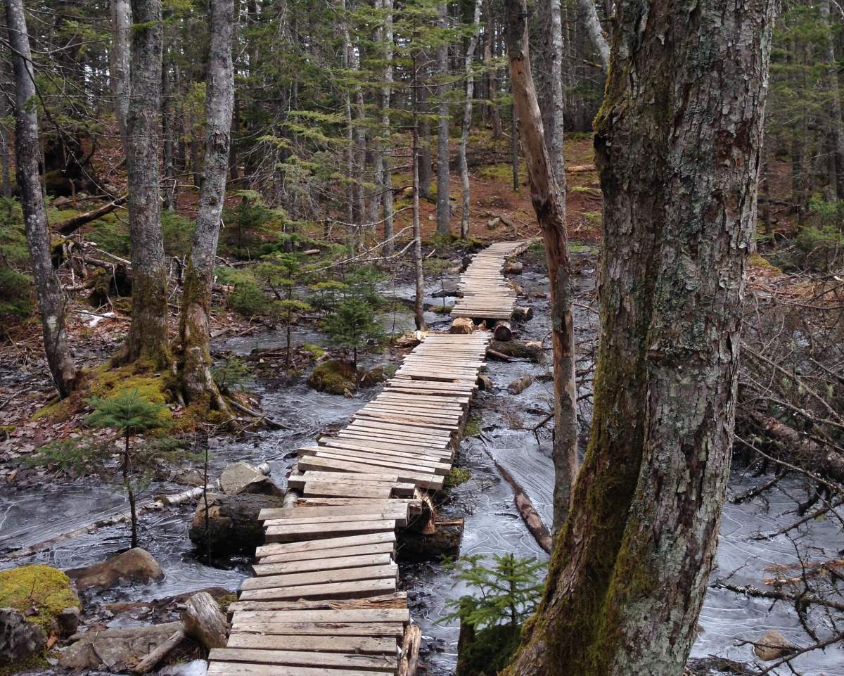 A trail in the Blue Mountain-Birch Cove Lakes regional park. 